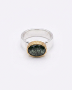 A silver ring with a textured gold bezel holding a dark green, speckled oval stone, shown on a plain white background.
