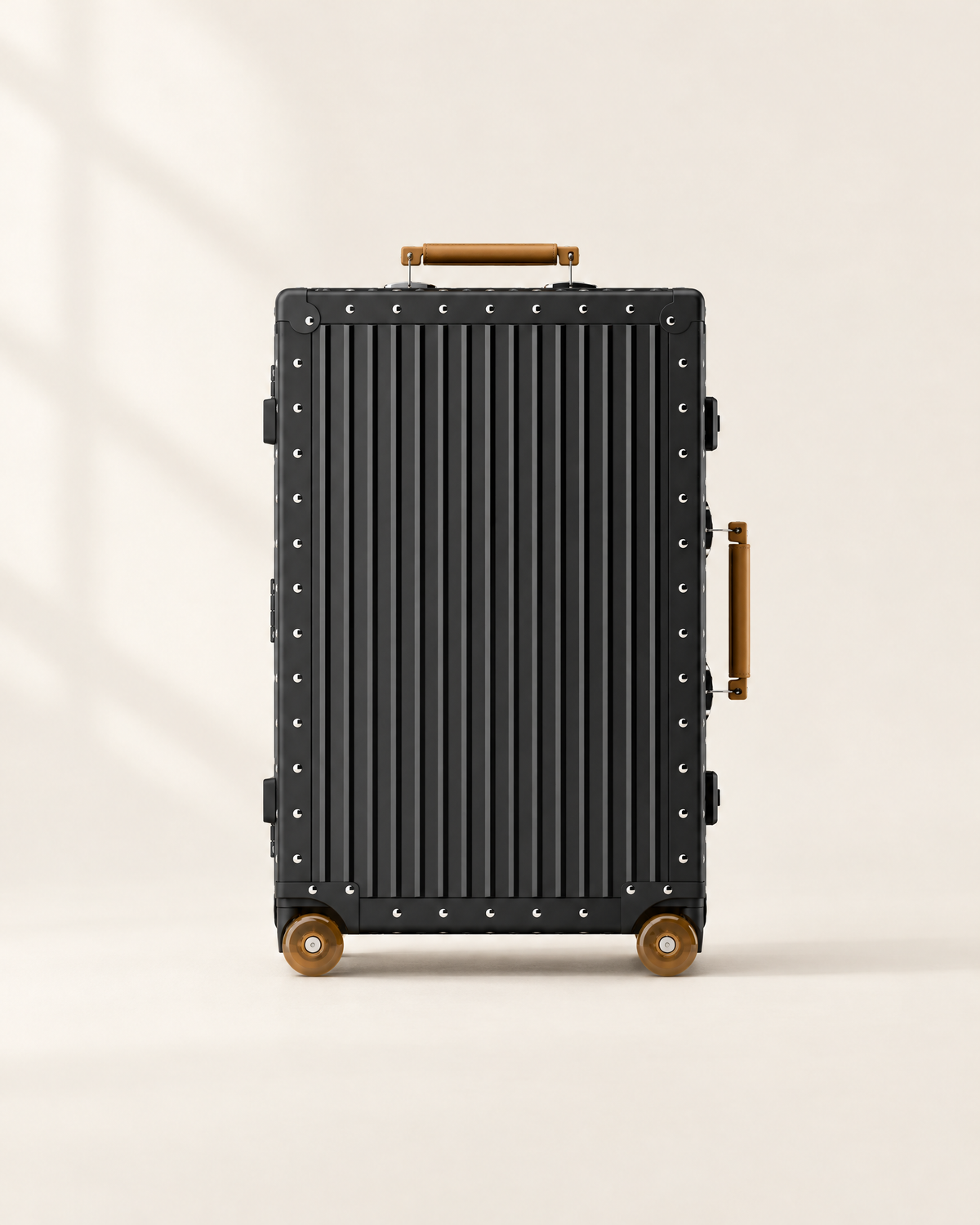 The Meridian Suitcase in black with brown