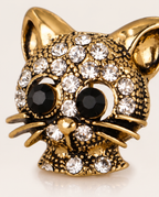 Close up of the black crystal eyes and rhinestones