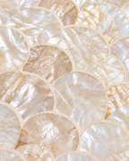 Mother of pearl fan mosaic close-up